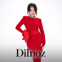 Dilnoz